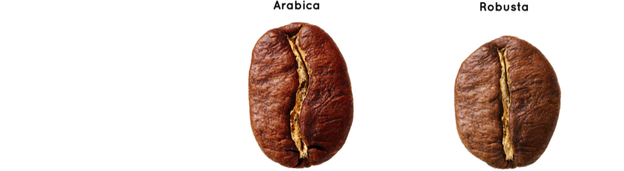 Welche Kaffeearten gibt es